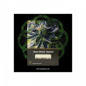 Auto Black Opium