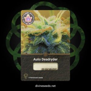Auto Deadryer