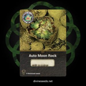 Auto Moon Rock