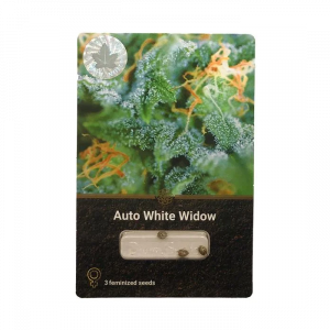 Auto White Widow