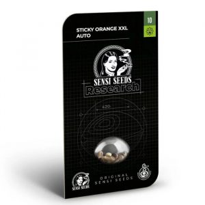 Sticky Orange XXL Auto